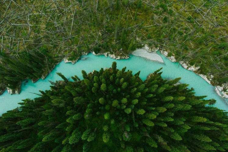 nature, Landscape, Drone, Aerial view, Trees, River HD Wallpaper Desktop Background