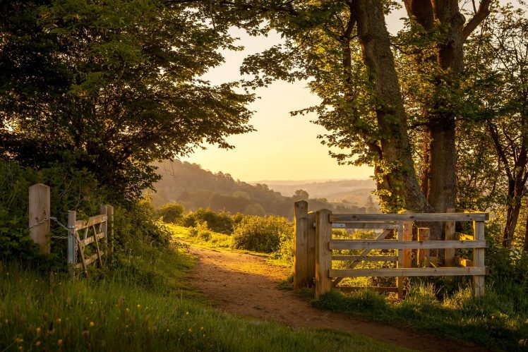 nature, Landscape, England, Summer, Lights, Trees, Plants, Gates HD Wallpaper Desktop Background