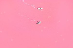 pink, Lagoon, Love
