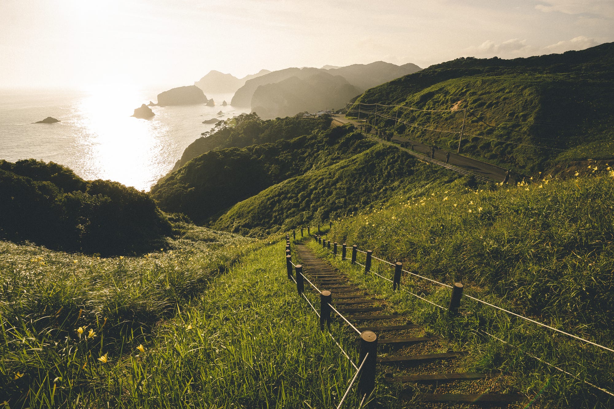 Japan, Tokyo, Ladders, Mountains, Grass, Yellow flowers Wallpaper