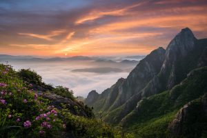 nature, Landscape, South Korea, Mountains, Pink flowers, Clouds, Rocks
