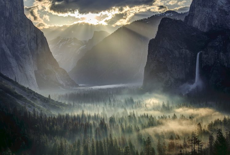 USA, Yosemite National Park, Mountains, Pine trees, Mist, Sun rays HD Wallpaper Desktop Background