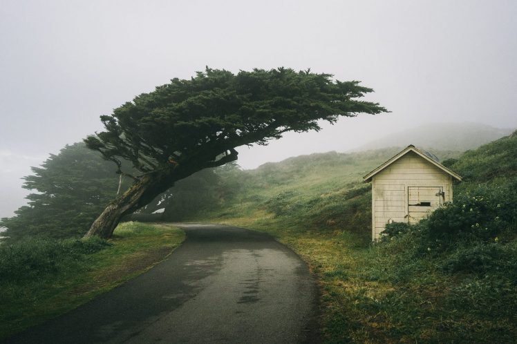 California, House, Trees, Road, Mist HD Wallpaper Desktop Background