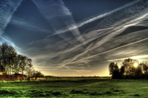 nature, Landscape, Trees, Sky, Grass, Field, Chemtrails