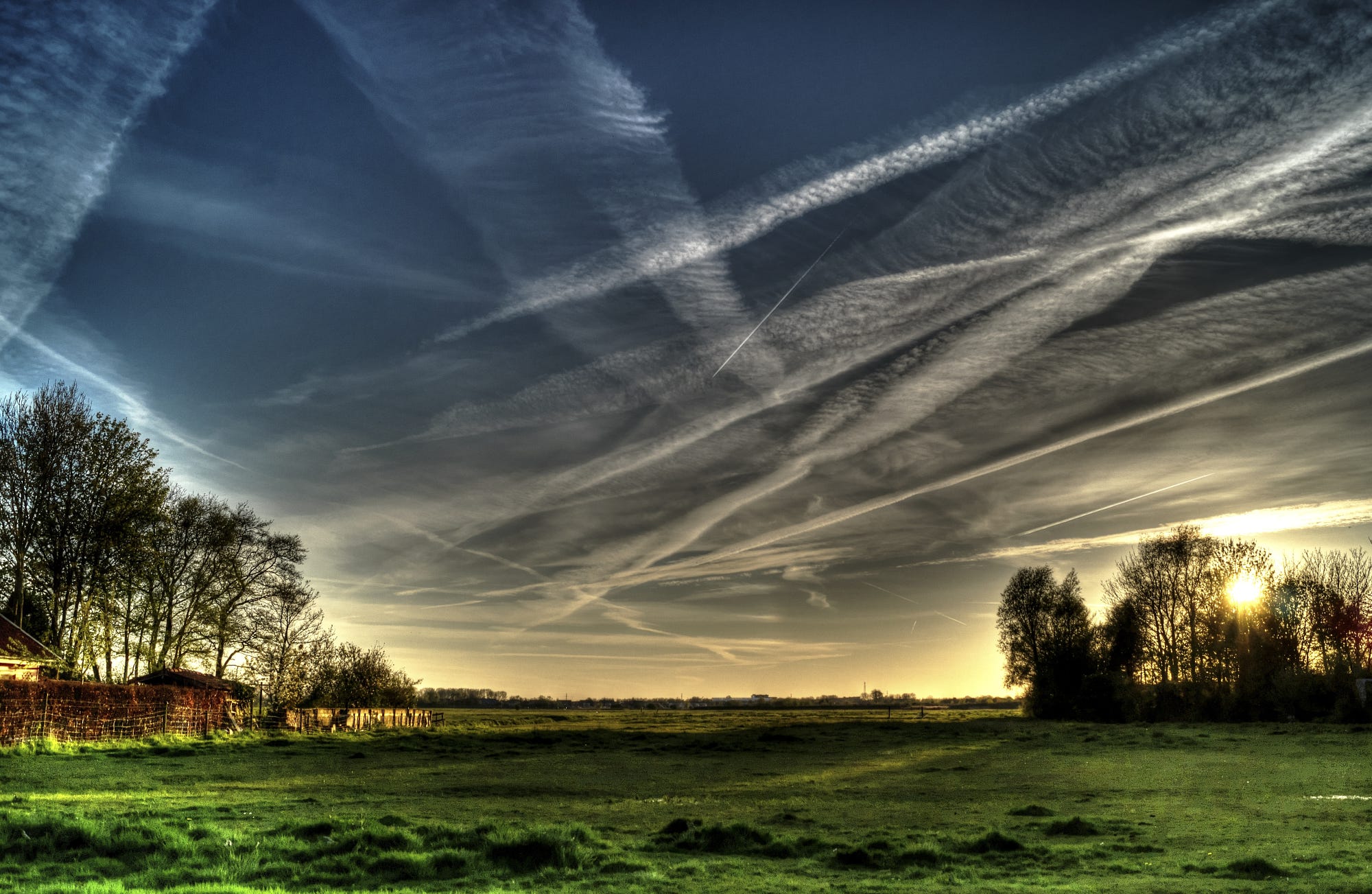 nature, Landscape, Trees, Sky, Grass, Field, Chemtrails Wallpaper