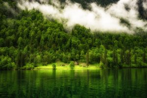 nature, Landscape, Germany, Lake, Reflection, Trees, Mist, Forest, Mountains
