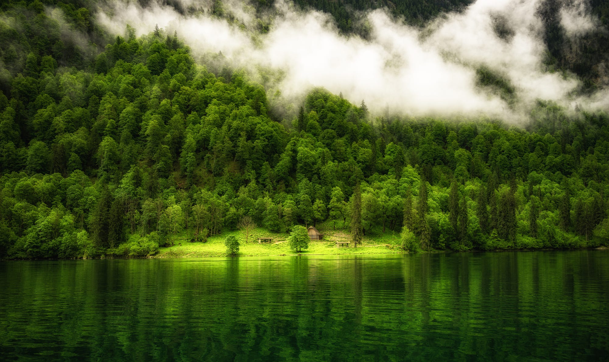 nature, Landscape, Germany, Lake, Reflection, Trees, Mist, Forest, Mountains Wallpaper