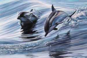 dolphin, Sea, Painting, Animals