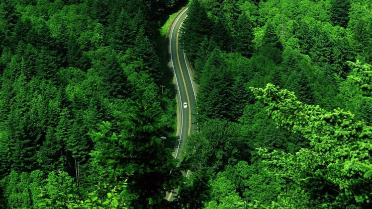 forest, Road, Landscape, Aerial view HD Wallpaper Desktop Background