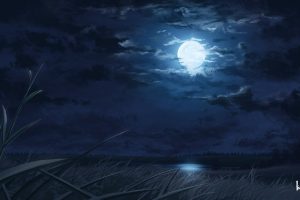night, Moon, Moonlight, Lake, Reeds, Landscape, Digital art