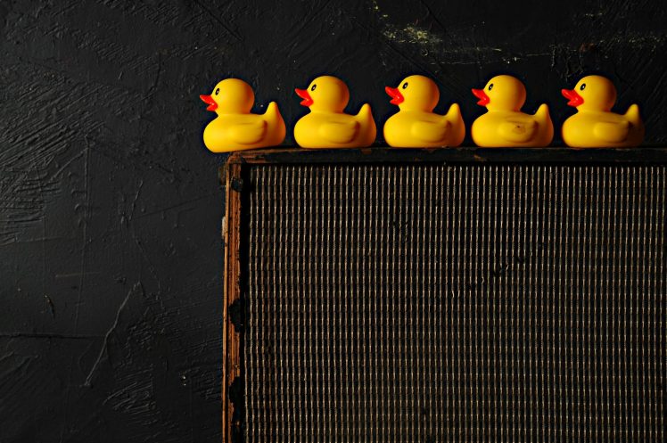 rubber ducks, Still life HD Wallpaper Desktop Background