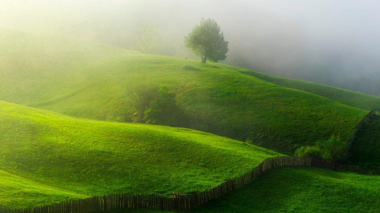 nature, Landscape, Hills, Mist, Trees, Field, Grass, Fence, Morning, Sunlight HD Wallpaper Desktop Background