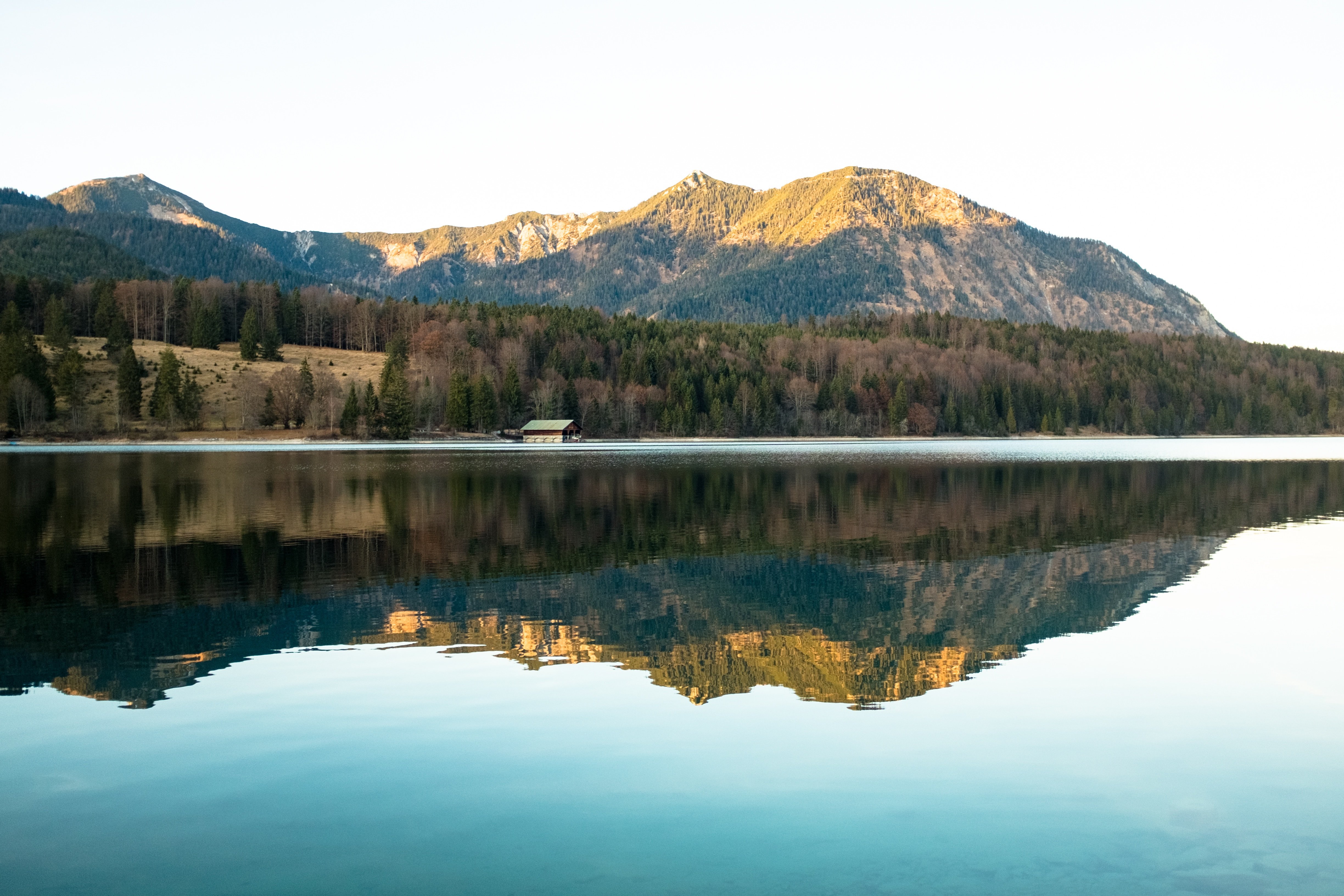 nature, Water, Trees Wallpaper