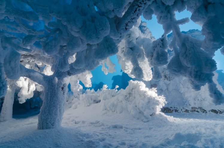 nature, Snow, Ice, Trees, Sky, Winter, Frost HD Wallpaper Desktop Background