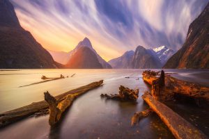 landscape, Nature, New Zealand, Dead trees, Mountains, Clouds, River