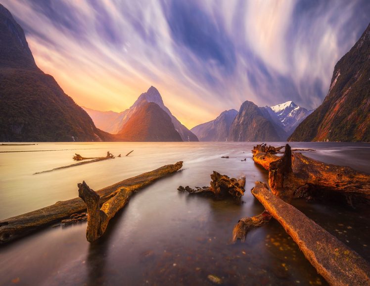 landscape, Nature, New Zealand, Dead trees, Mountains, Clouds, River HD Wallpaper Desktop Background
