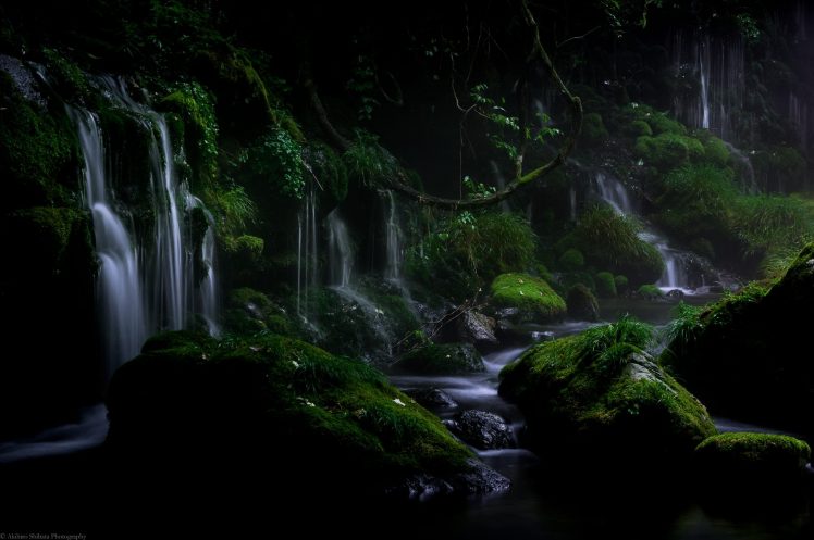 landscape, Nature, Akihiro Shibata, Water, Plants, Leaves HD Wallpaper Desktop Background
