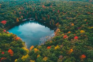 nature, Landscape, Water, Lake Michigan, Forest, Trees, Fall