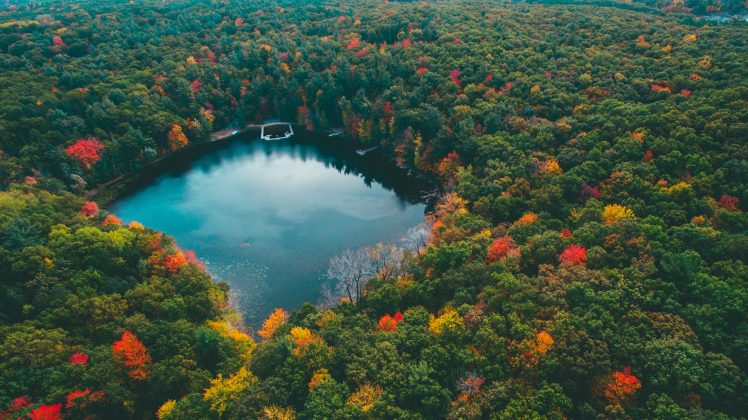 nature, Landscape, Water, Lake Michigan, Forest, Trees, Fall HD Wallpaper Desktop Background