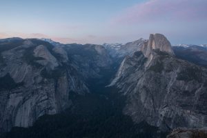 nature, Trees, Yosemite National Park