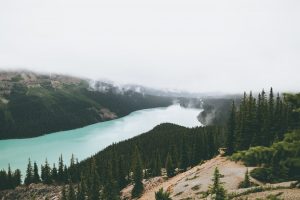 nature, Landscape, River, Trees, Mist, Mountains, Canada