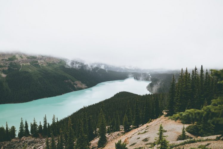 nature, Landscape, River, Trees, Mist, Mountains, Canada HD Wallpaper Desktop Background