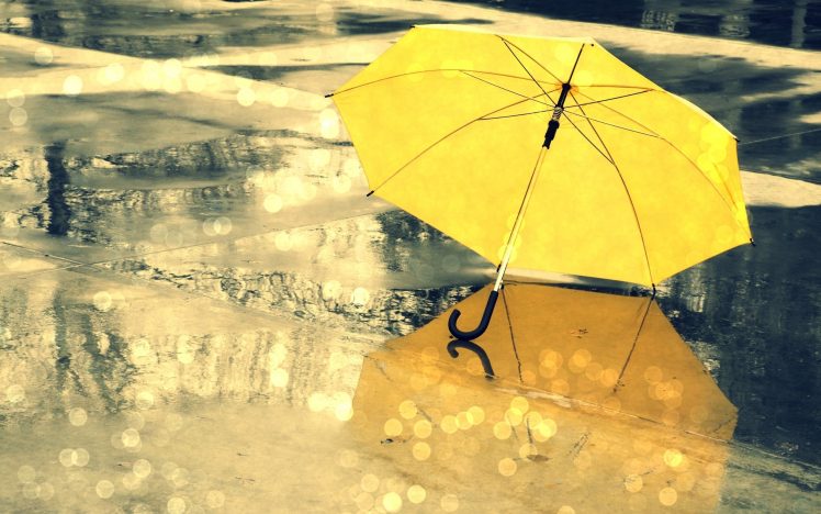 umbrella, Yellow, Rain, Reflection, Water drops HD Wallpaper Desktop Background