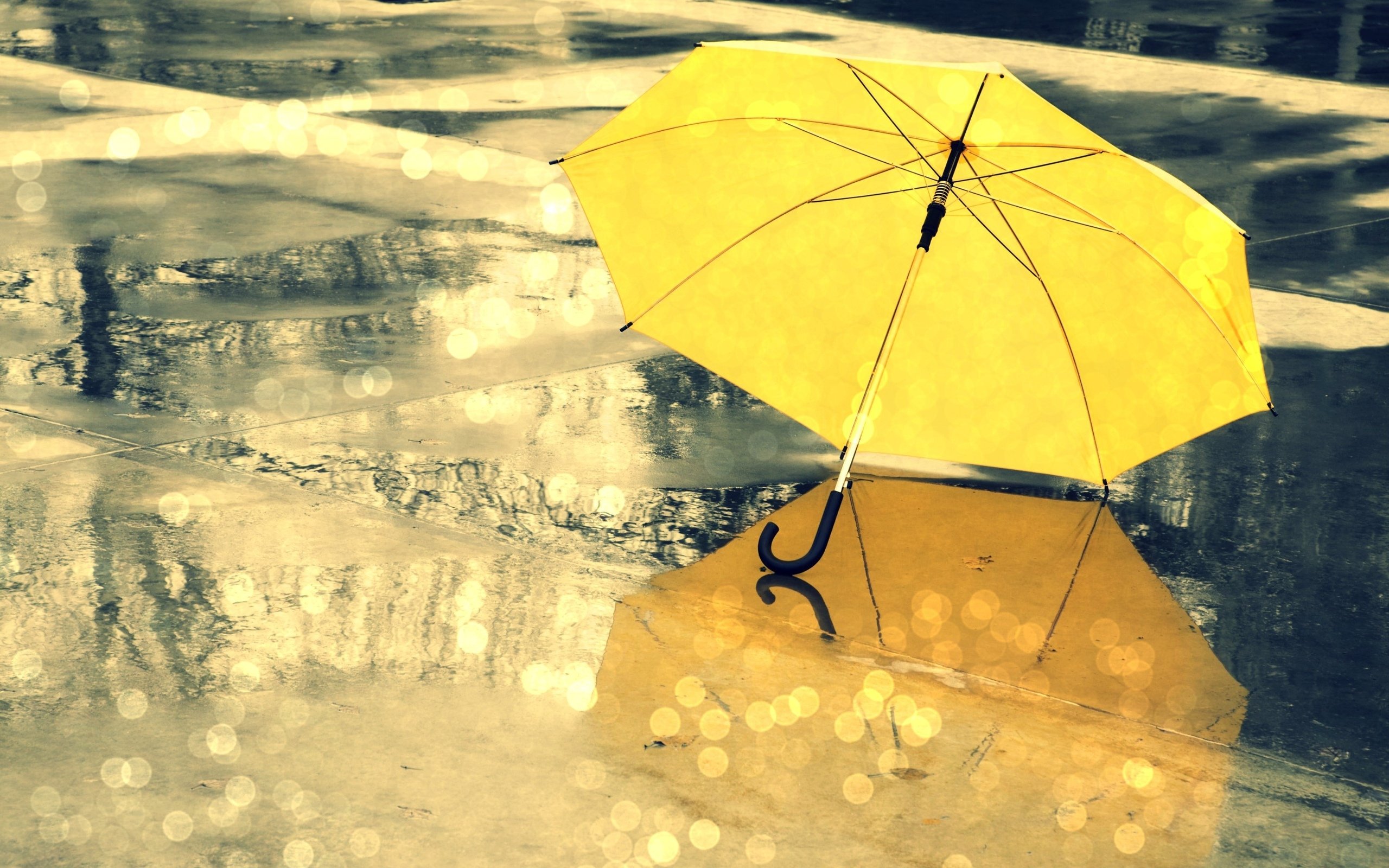 umbrella, Yellow, Rain, Reflection, Water drops Wallpaper
