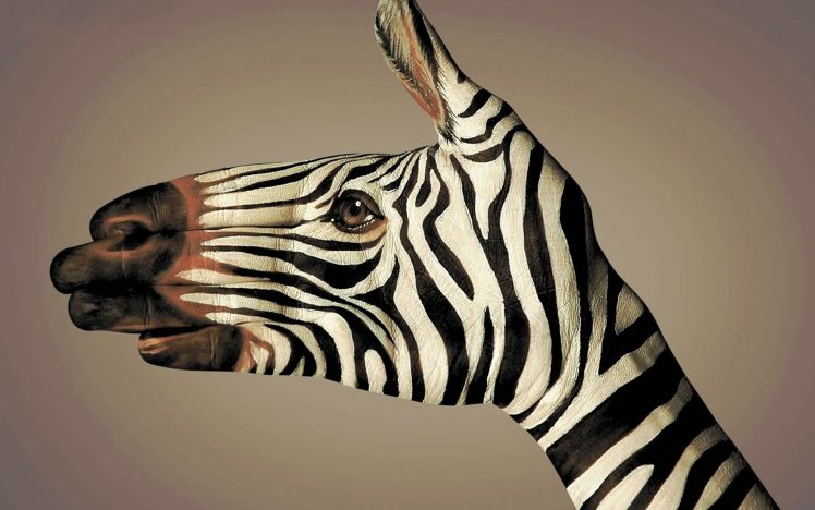 hands, Body Art, Zebras, Simple background HD Wallpaper Desktop Background
