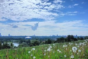 landscape, Cityscape, Summer, Dandelion, Grass, Moscow, Moscow CIty, Sky, Clouds
