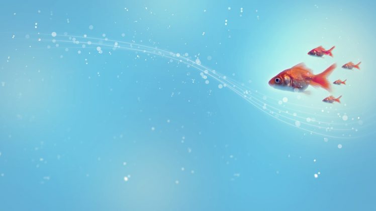 goldfish, Water, Aquarium, Minimalism, Photo manipulation HD Wallpaper Desktop Background