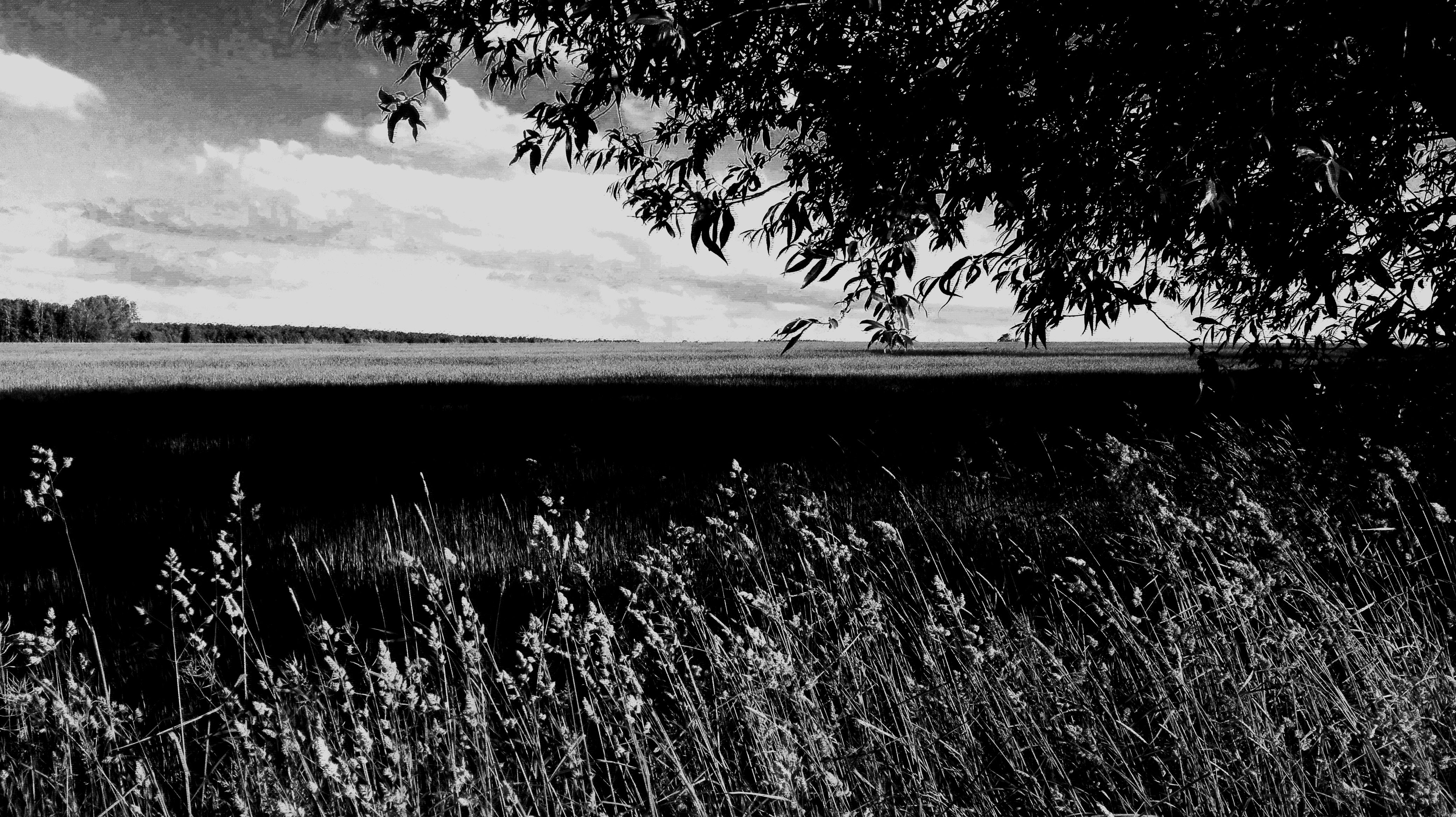 monochrome, Photography  nature , Nature Wallpaper