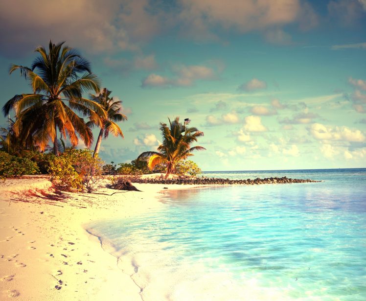 sea, Beach, Sand, Palm trees, Tropical water HD Wallpaper Desktop Background