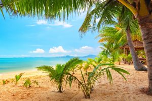 sky, Clouds, Beach, Palm trees, Bungalow, Sea, Summer, Tropical