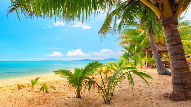 sky, Clouds, Beach, Palm trees, Bungalow, Sea, Summer, Tropical HD Wallpaper Desktop Background