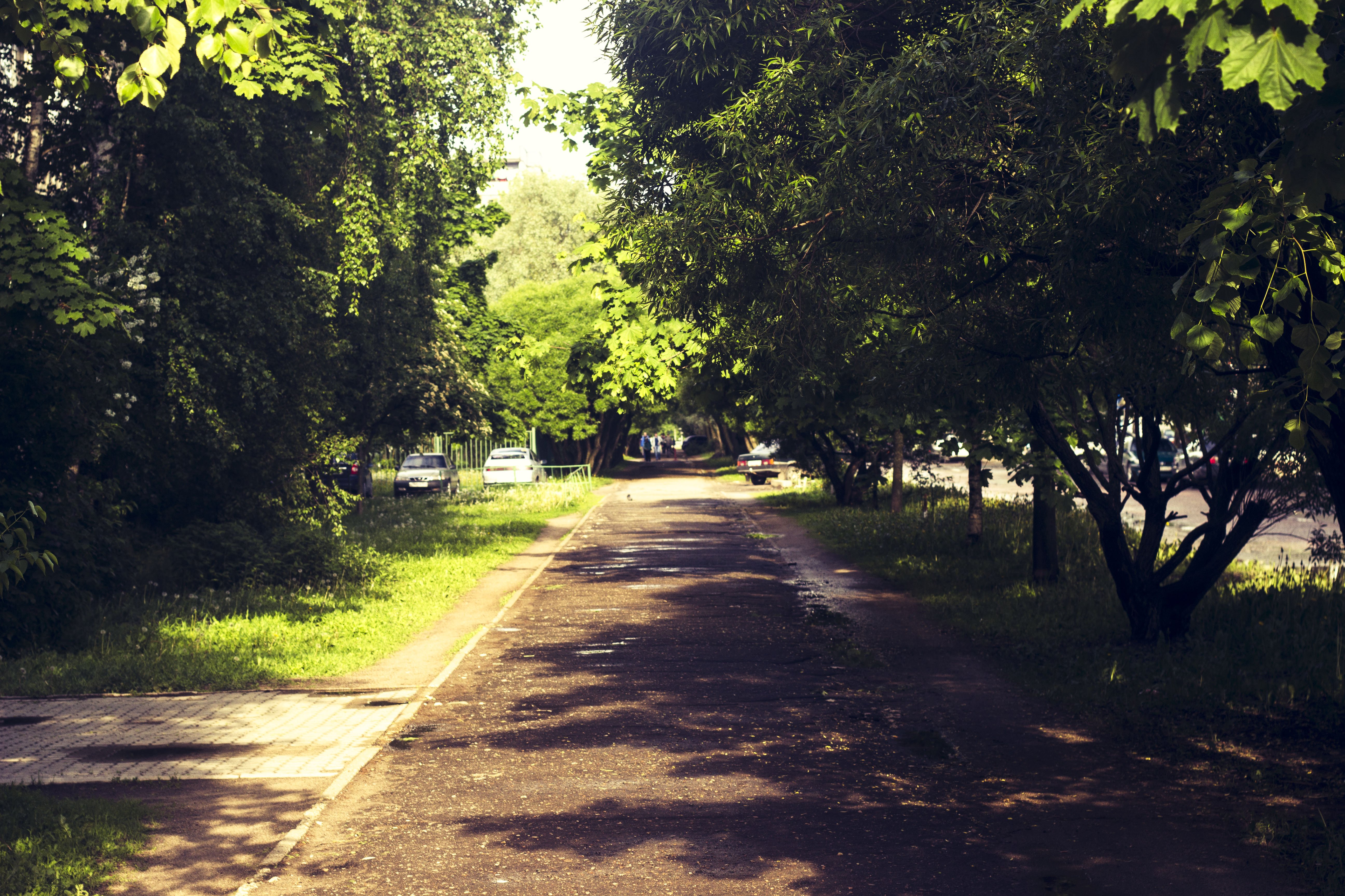 nature, Photography Wallpaper