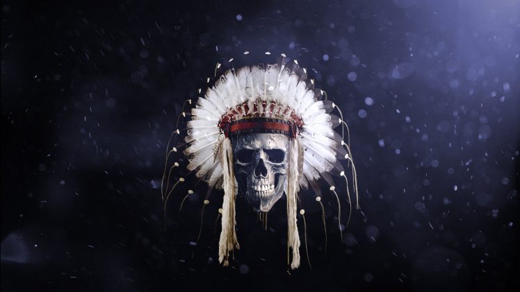 feathers, Skull, Native American clothing, Headband HD Wallpaper Desktop Background