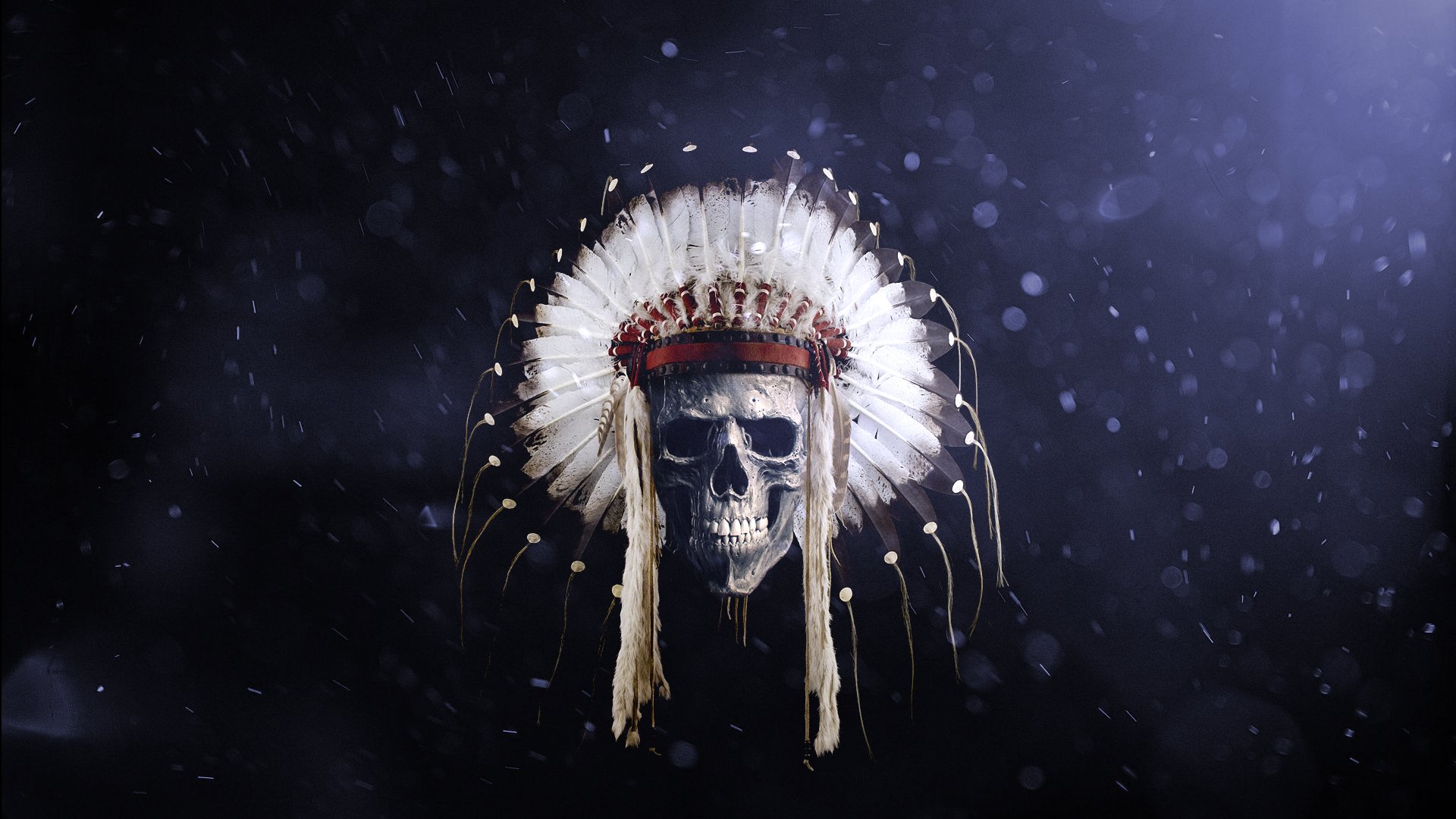 feathers, Skull, Native American clothing, Headband Wallpaper