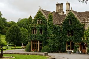 house, Ivy, Trees, England, Wiltshire