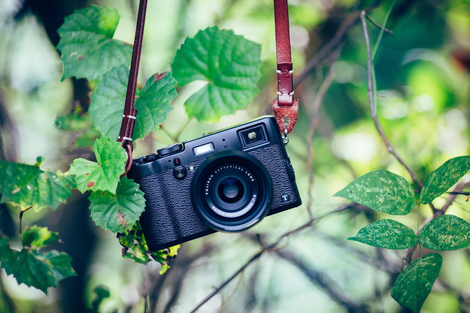 plants, Camera Wallpaper