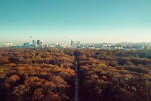 Berlin, Fall, Cityscape, Germany, Road, Hot air balloons, Clear sky, Building, Capital, Trees, Forest