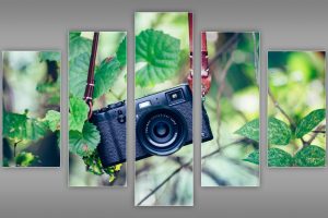 camera, Technology, Leaves