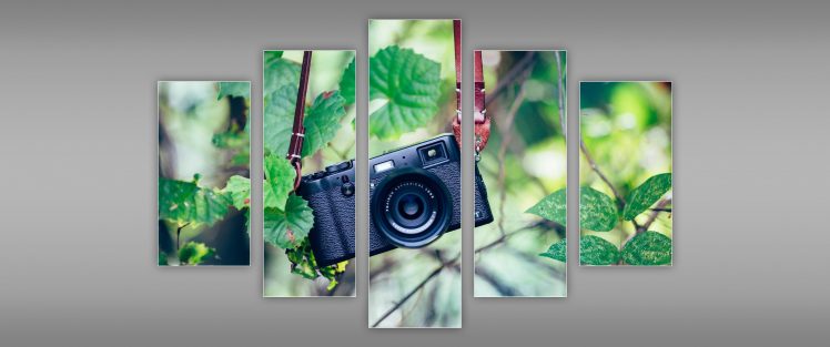 camera, Technology, Leaves HD Wallpaper Desktop Background