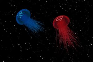 jellyfish, Space