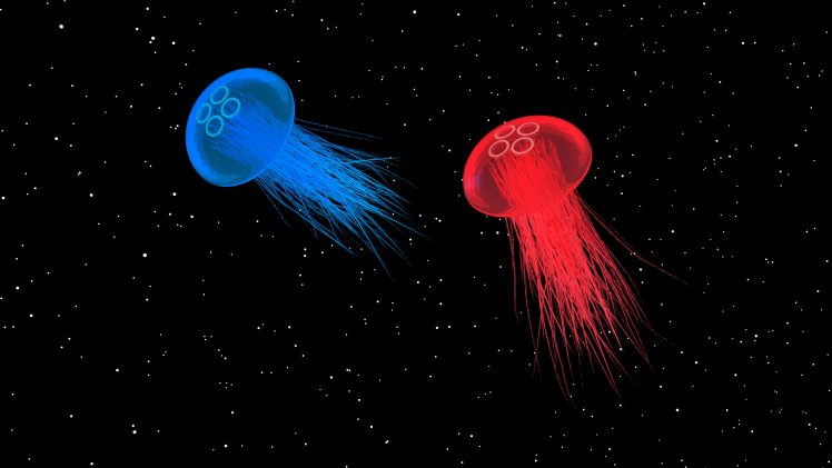 jellyfish, Space HD Wallpaper Desktop Background