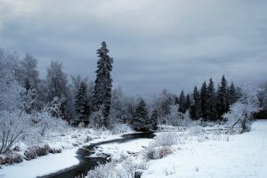 nature, Snow, Winter, Trees, Forest, River