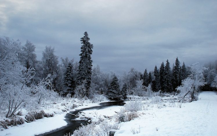 nature, Snow, Winter, Trees, Forest, River HD Wallpaper Desktop Background