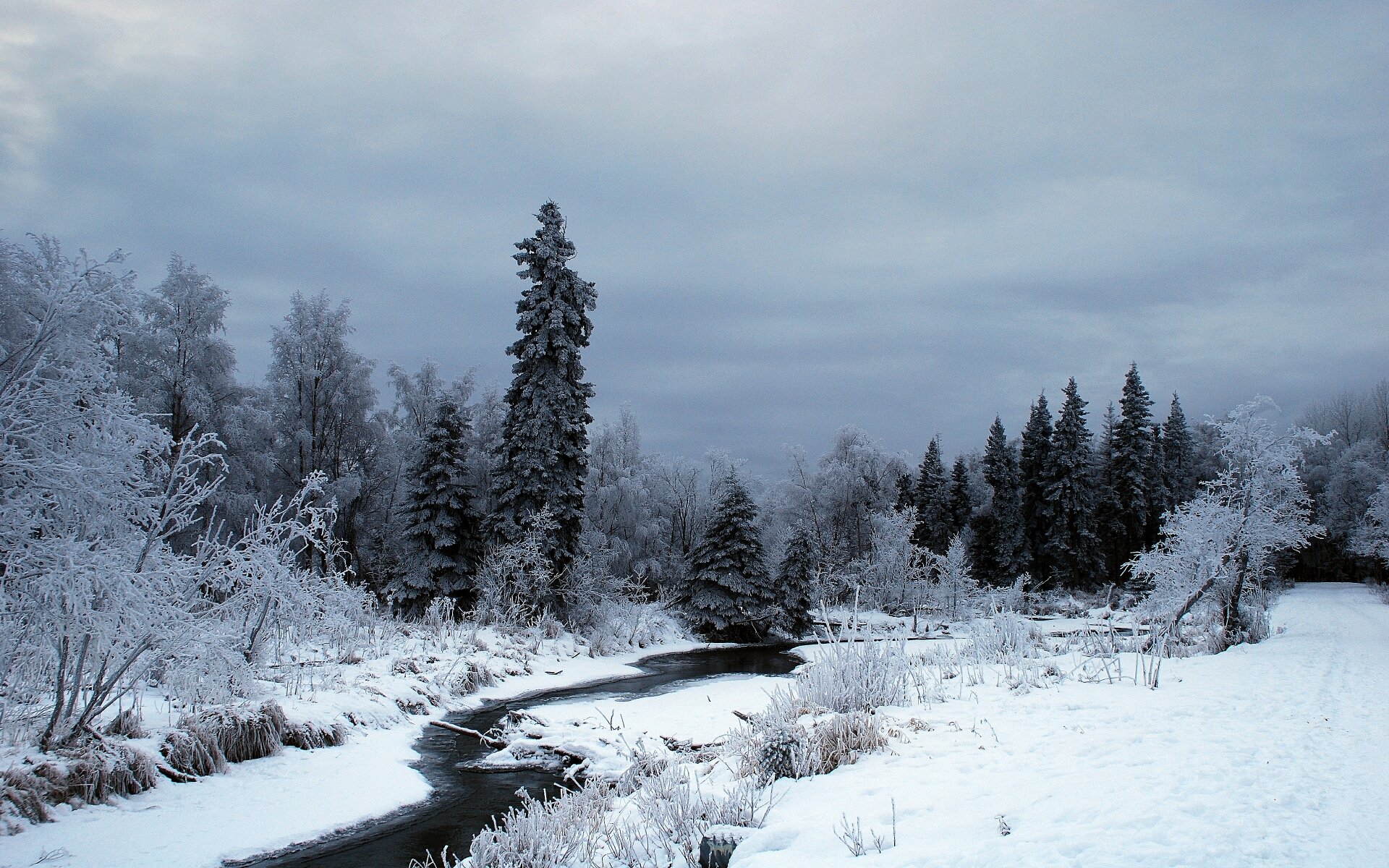 nature, Snow, Winter, Trees, Forest, River Wallpaper