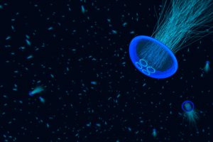 jellyfish, Underwater