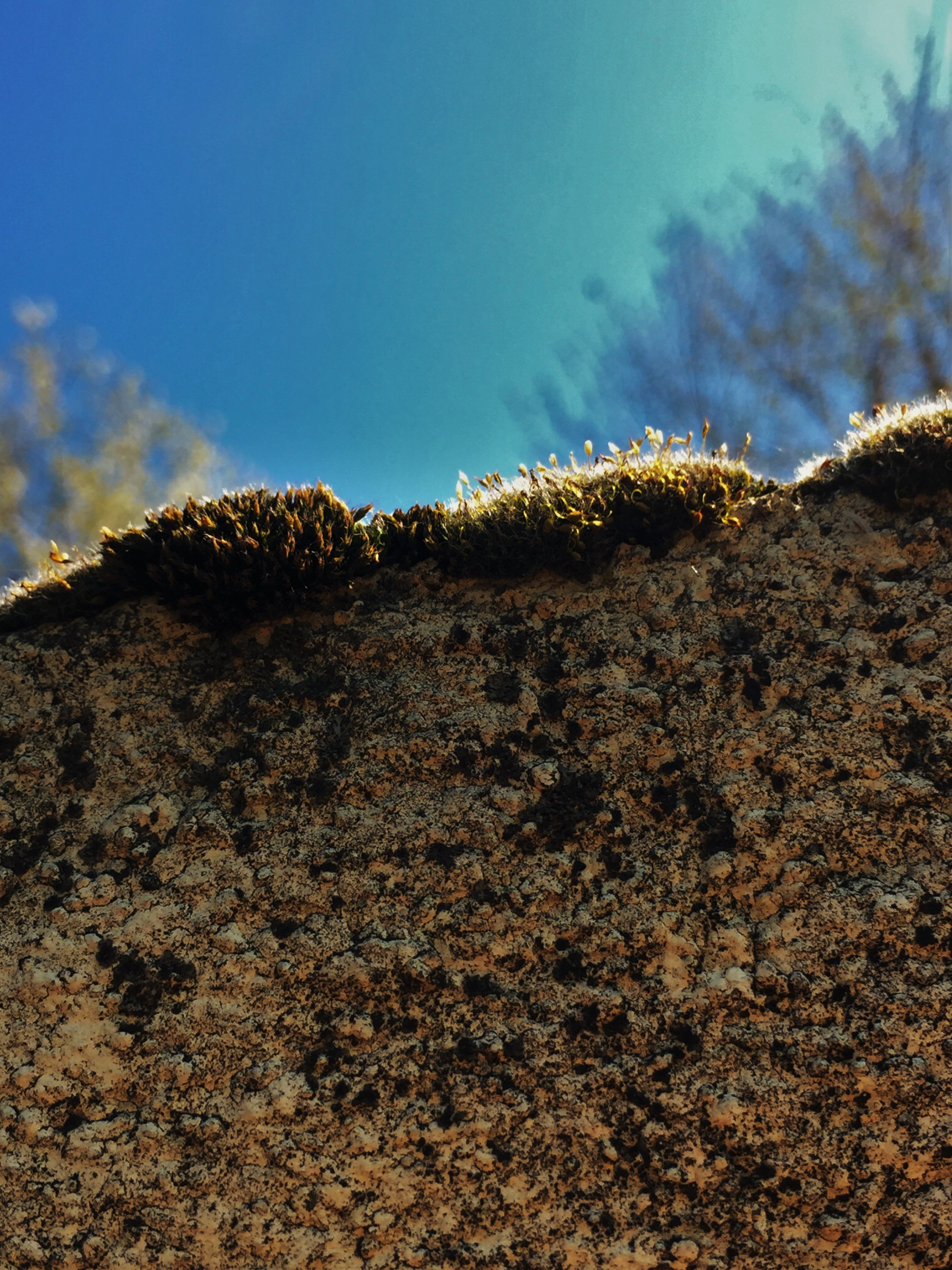 moss, Sky, Depth of field, Rock Wallpaper